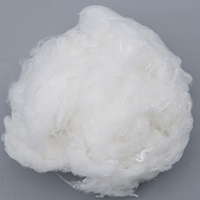Funktionell fiber